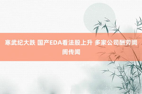 寒武纪大跌 国产EDA看法股上升 多家公司酬劳阛阓传闻